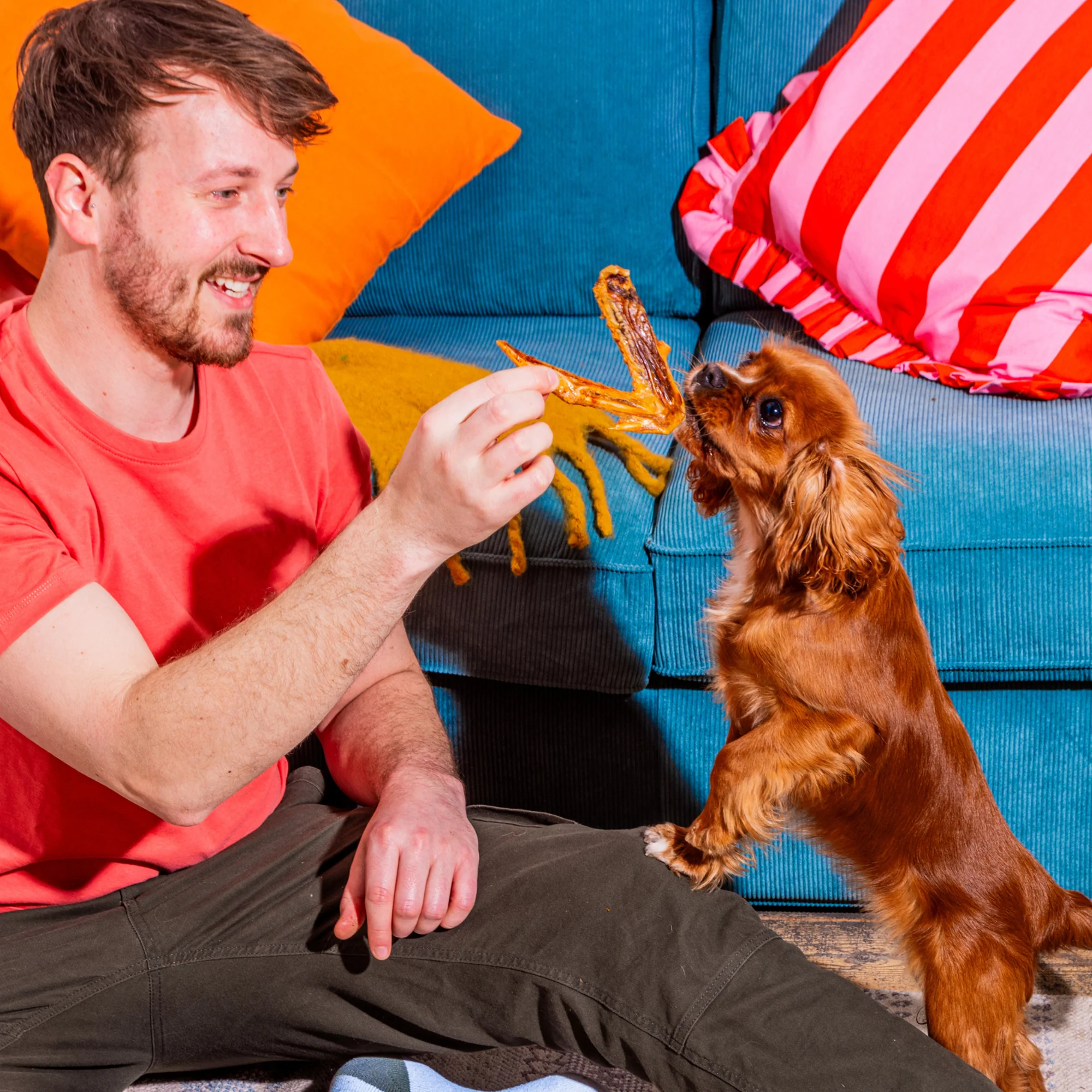 Dried duck wing dog treat — additional view