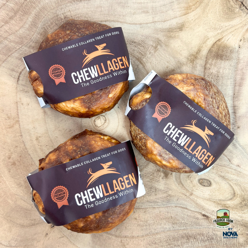 NOVA Chewllagen chicken collagen donut chew, second view